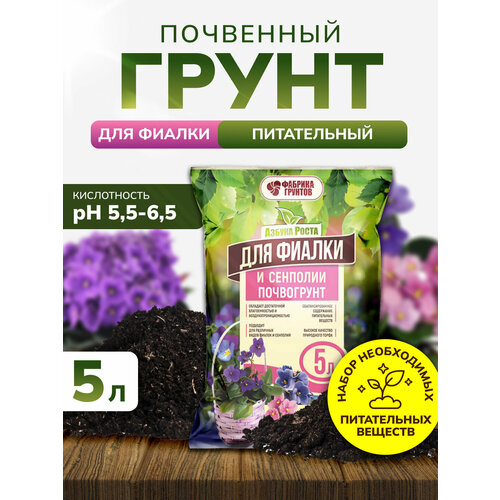 ������ ������ ����� ��� ������ � ��������, ����� ��� ������ ��������� 5 �, ����������, InHome Green ����