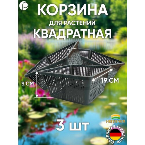 ������ ������ ����� ������ ��� �������� ���������� 19�19�� - 3 ��, ���� ������, Heissner, �������� ����