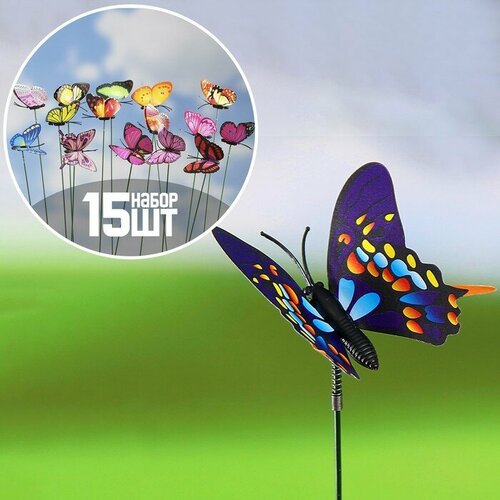 ������ ������ ����� �������� 