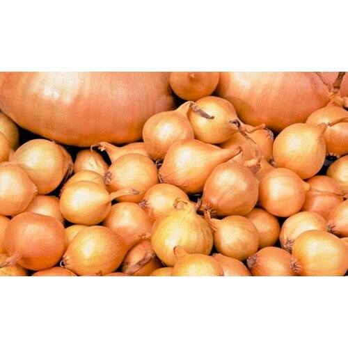 ������ ������ ��� ����� �������� 800�� ����