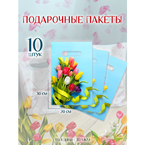 ������ ������ ����� ���������� ������� � ������� �������� �������� � �����, 10 �� ����