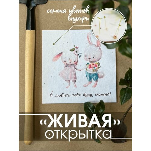 ������ ������ �������� 