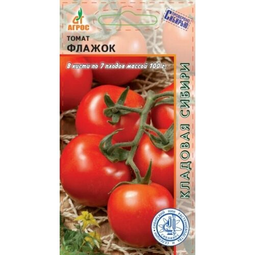 ������ ������ ����� ������ ����