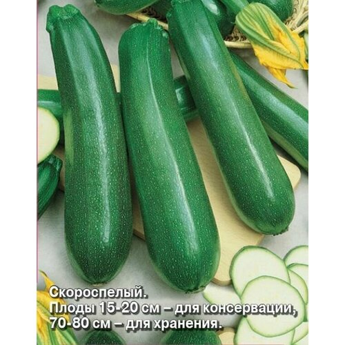 ������ ������ ������� ���� ������� F1 ����