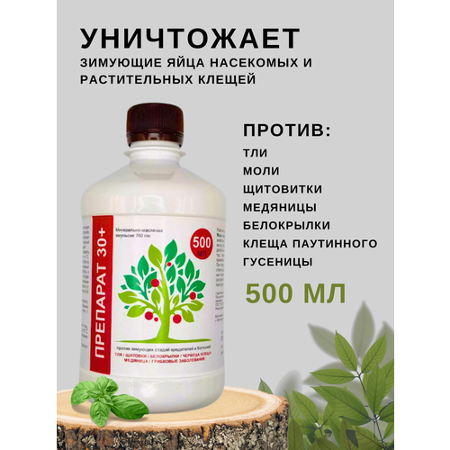 ������ ������ �������� ������ �������� �������� 30 ���� ����