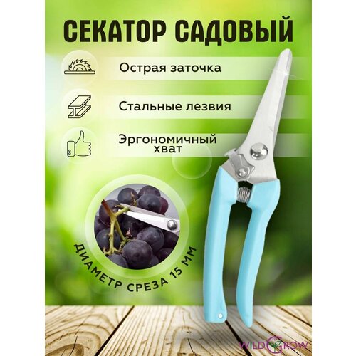 ������ ������ W-GROW ������� ������� ��� ����, ������ � ��������� �������� ����