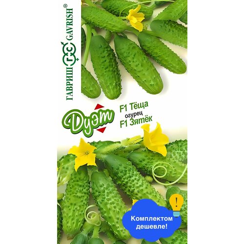 ������ ������ ������ ������ ���� ������ ����� F1+������ ���� F1, 20 ��. ����