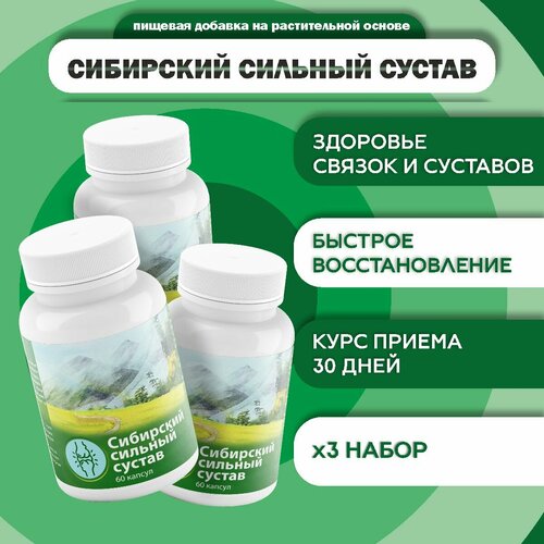 ������ ������ �������� ��� �������� ��������� ������� ������ 60 ������ ����