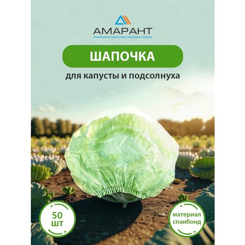 ������ ������ ������� ������� ��� ������� � ����������, ������� 50 �� ����