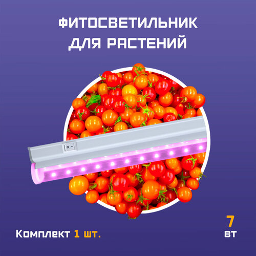 ������ ������ ���������� ��� �������� 