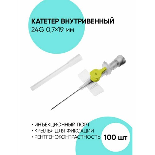 ������ ������ ������� ������������ �������������� 24G - 100 �� ����