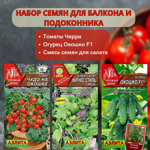 ������ ������ ������ ����� ��� ������� � ����������� , ������, ������ � ������ ����