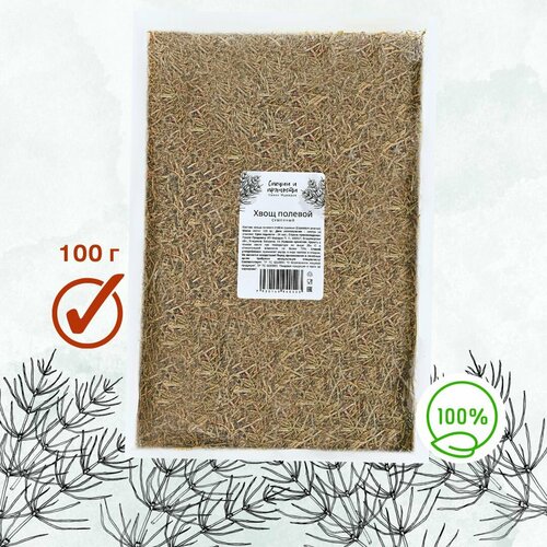 ������ ������ ���� ����