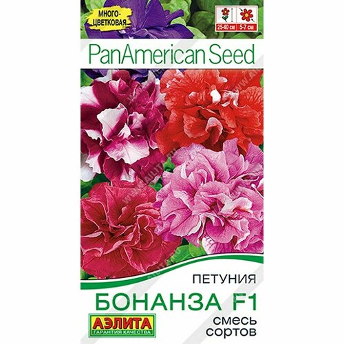 ������ ������ ������ ������� ������� F1 ����� ������, ���������. ����, ����������, (������) 5�� PanAmerican ����