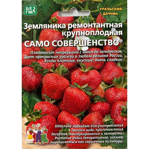 ������ ������ ������ �������� ������������ ������������� 