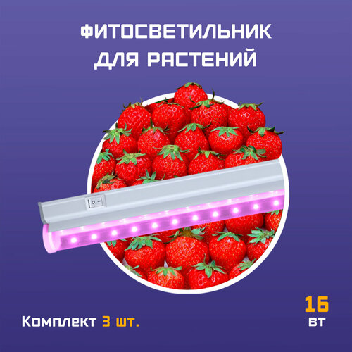 ������ ������ ����� ��� ��������, �������������� ��� ������� ��������, ���������� ��� ��������� ������ LED 16 �� 900�� ����� 3 �� ����