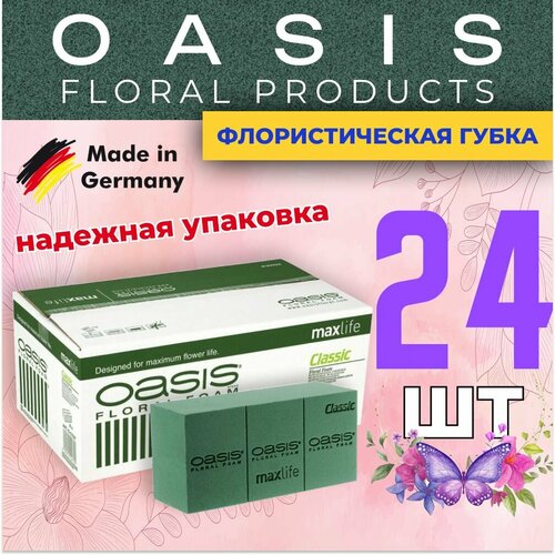 ������ ������ �������������� �����, ��� ������, �������, ����� 24 �� ����