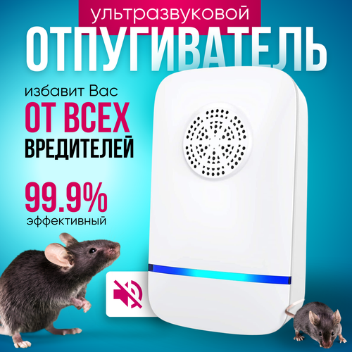 ������ ������ ������������ ����� � ���� ��������������, ������������ ��������� ����