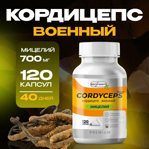 ������ ������ ��������� ������� � �������� 700��, �������� ��� ���������� � ������ ����