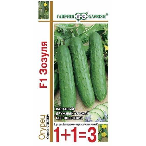 ������ ������ ������ ������ ������ F1 20�� ������������������ ������ (������) 1+1 ����