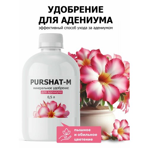 ������ ������ ��������� ��� �������� ���������� ������-� 0,5 � ����