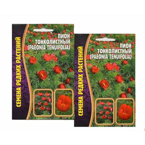 ������ ������ ���� ������������ ����������� / ������ ������ ��� ���� ����