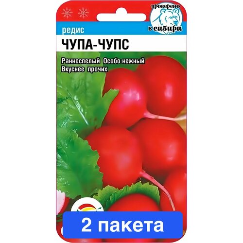 ������ ������ ������ ������ ��������� ��� 