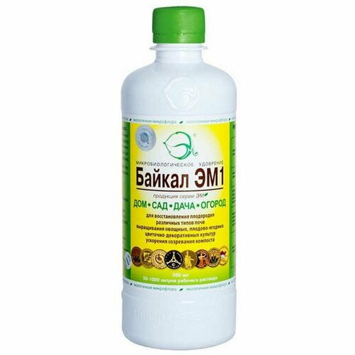 ������ ������ ������-��-1 0,5� ����