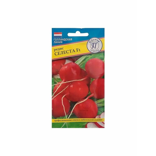 ������ ������ ������ ����� ������� F1 1� ������ (�������) ����