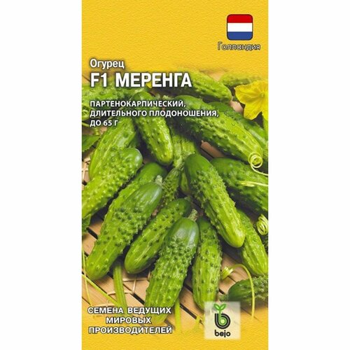 ������ ������ ������ ������ ������� F1 (������������������) (������) 5�� ����