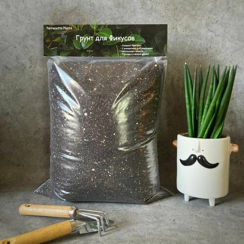 ������ ������ ������� ����� ��� ������� � �������� �������� Terracotta Plants, 8 ������ ����