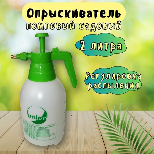 ������ ������ ������������� �������� ������ 2 ����� ����