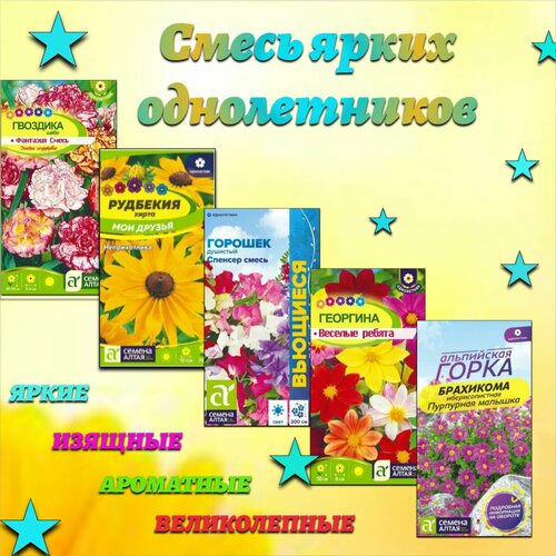 ������ ������ ����� ����� � ��������������� ������������. ������ ����� ����