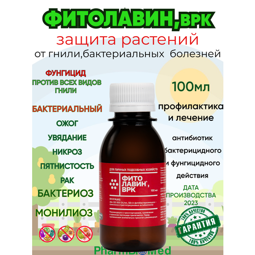 ������ ������ ��������� 100��. �������� ��� ������ ��������. ����