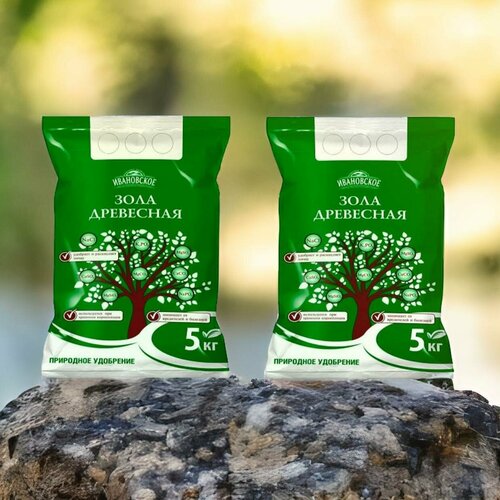 ������ ������ ���� ��������� 5 �� / 2�� ����