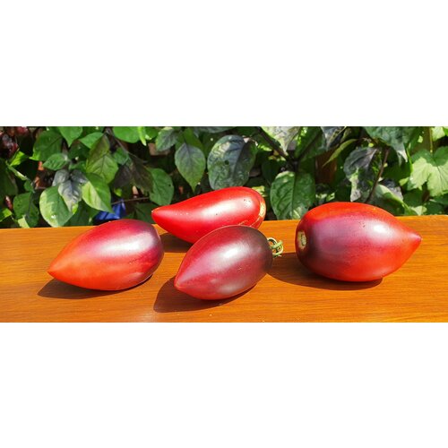 ������ ������ ������ ������ ������� �� �������� (Pascal De Picardie) / Seeds And Goods / � �������� zip-lock ��� ���������� 5 ����� ����