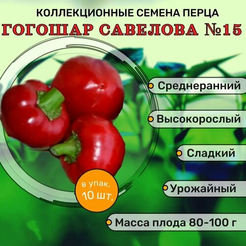 ������ ������ ������������� ������ ����� �������� ������� �������� �15 ����