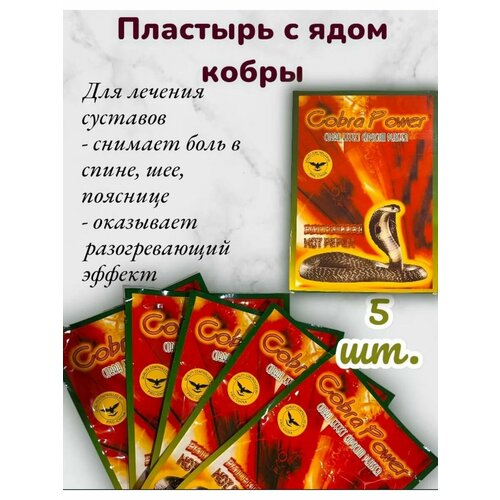 ������ ������ �������� �������������� � ���� ����� 5 �� ����