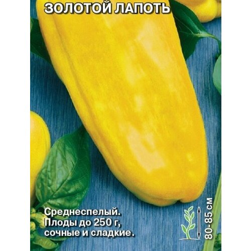 ������ ������ ����� ������� ������� ������ ����