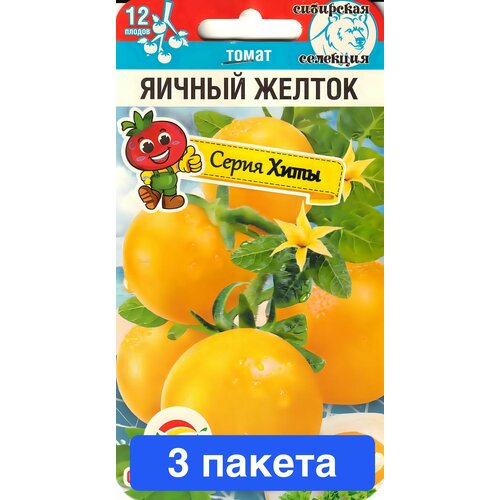 ������ ������ ������ ������ ��������� ��� 