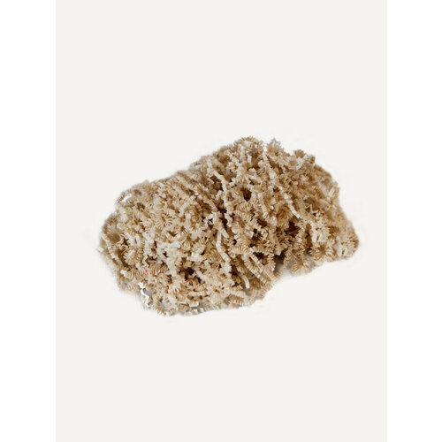 ������ ������ ������� �������� ����������� 50�, ��������, ��������. �������, �������� �������, ��� ����������� ����