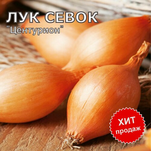 ������ ������ ��� ����� ������ �� ������� ��������� 1�� ����