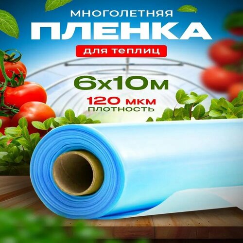 ������ ������ ������ ��� ������ 120 ��� 6� � 10� ����