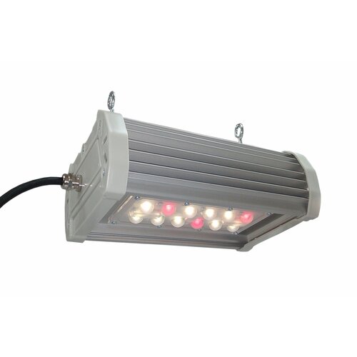   ,  , Luminar Progress SUN 45W,  , IP65   -     , -,   