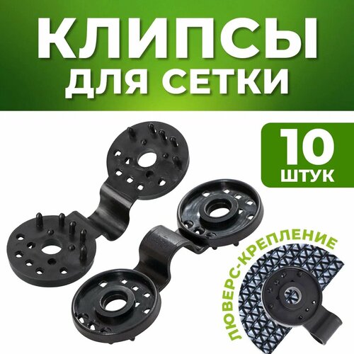 ������ ������ ������ ��� ����� 