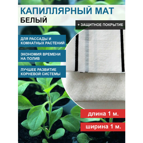 ������ ������ ����������� ��� VIVAPOL � �������� ��������� Aquafol 1 �. �. ����������� ���������� ����