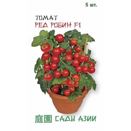 ������ ������ ������ ����� ��� ����� F1 5 �� ���� ���� ����