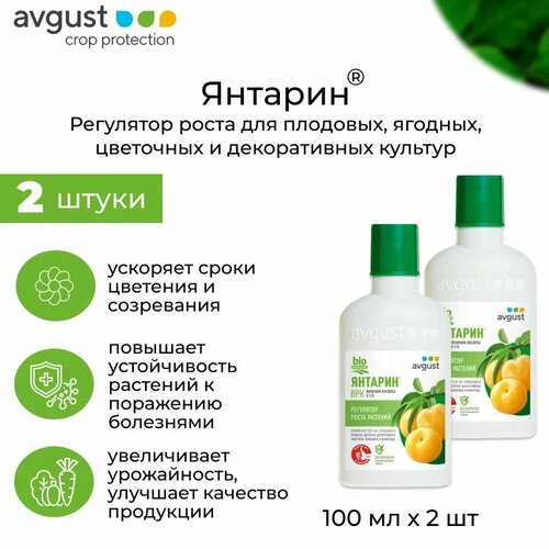 ������ ������ ��������� 