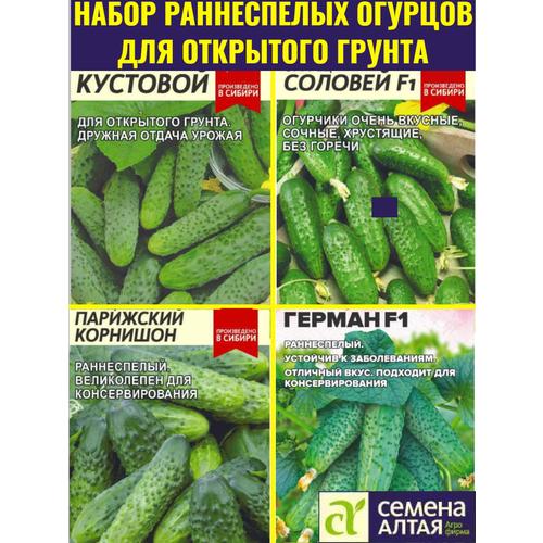 ������ ������ ����� ����� ����������� ������� - 4 �����. ����������������� ������� ��� ��������� ������ � �������� ����