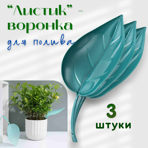 ������ ������ ���������� ��� ������ ��������� �������� ����